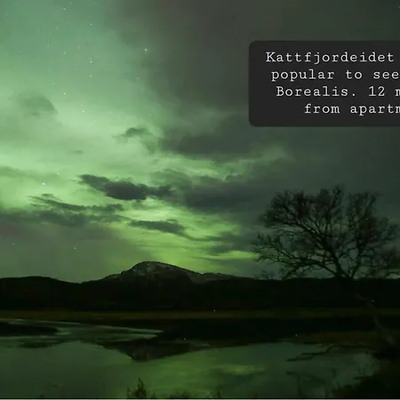 Norhern Lights Luxus -5 Min Airport-free Park *