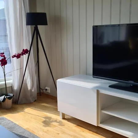 Big Luxury Euroraapartment In &free Parking Tromsø