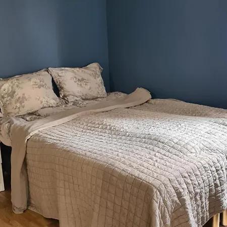 Big Luxury Euroraapartment In &free Parking Leilighet