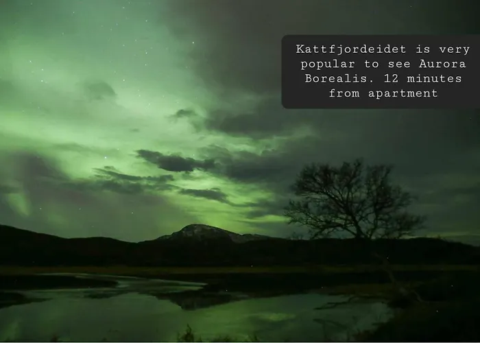 Norhern Lights Luxus -5 Min Airport-free Park *